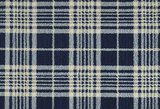 Rugs Done Right Custom Gingham Plaid GINGP Navy Rug