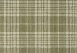 Rugs Done Right Custom Gingham Plaid GINGP Sage Rug