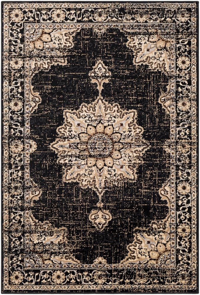 Surya Paramount PAR1089 Brown Rug