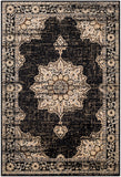 Surya Paramount PAR1089 Brown Rug