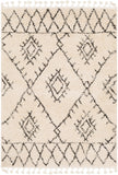 Surya Closeout Berber Shag BBE-2305 Beige Rug