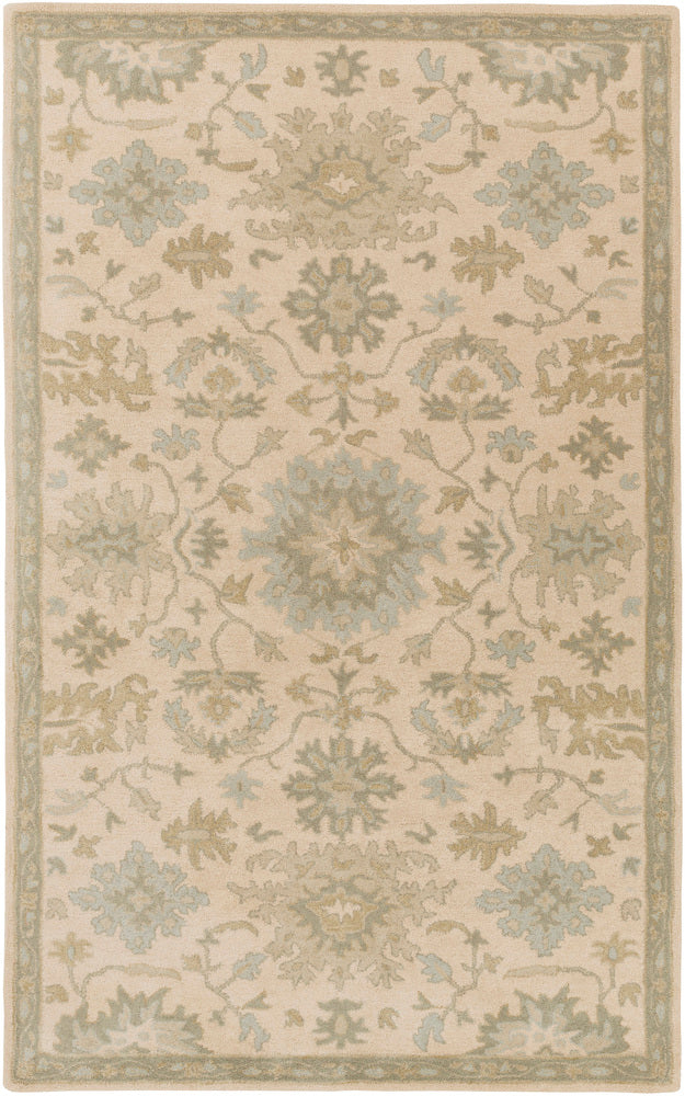 Surya Rug Co. Caesar Beige Rug | Beige Rugs | Rugs Done Right 