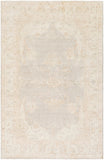 Surya Rug Co. Westchester WTC-8005 Ivory Rug