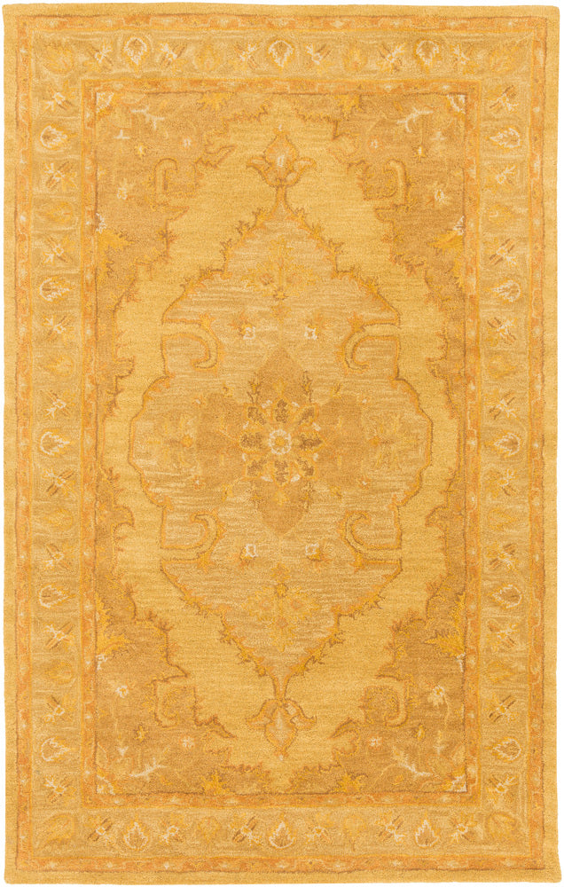 Surya rug co. | gold rug | Middleton | rugs done right