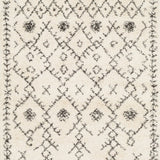 Two Tone Surya Rug Co. Berber Shag  Beige Rug | Berber Rugs | Rugs Done Right 