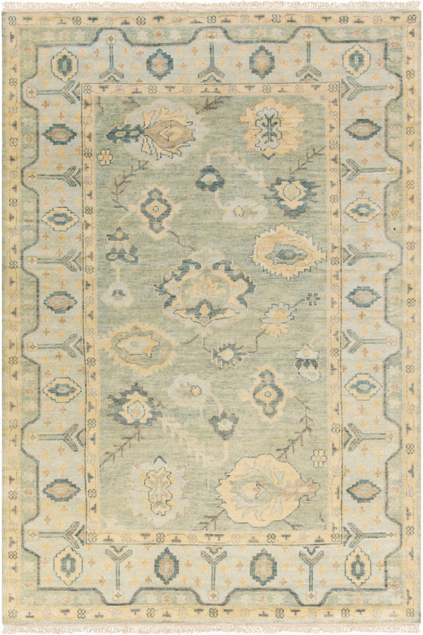 Surya Rug Co. Hillcrest HIL-9017 Olive Rug