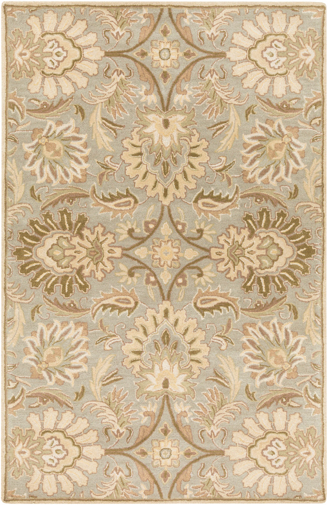 Surya rug co. | Ash Grey rug | Caesar | rugs done right