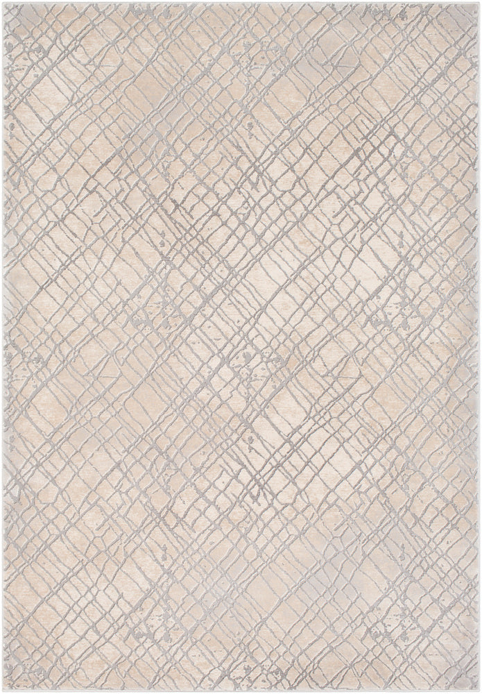 Transitional Surya Rug Co. Tibetan Taupe Rug | Taupe Rugs | Rugs Done Right 