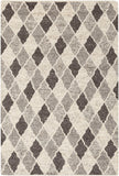 Surya Rug Co. Nico NIC-7002 Charcoal Rug