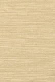 chandra india ind 8 beige rug