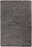 chandra joni jon 39302 silver rug