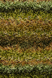 chandra kubu kub 16501 green rug