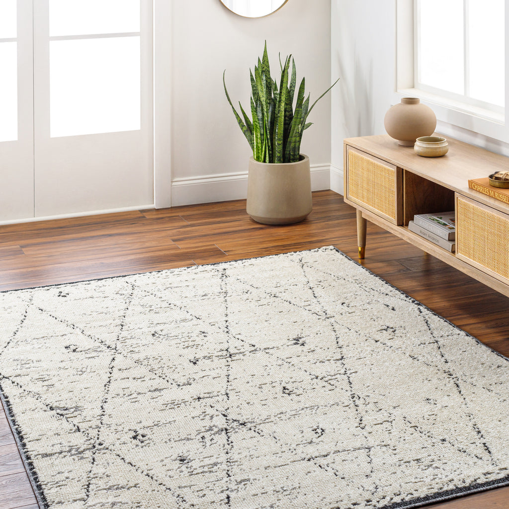 surya la boheme lhb 2304 light grey rug