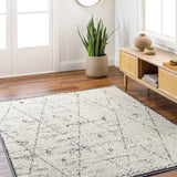 surya la boheme lhb 2304 light grey rug