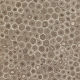 chandra masterton mas 30201 beige rug