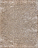 chandra mercury mer 6903 beige rug