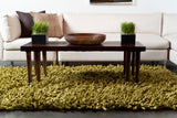 chandra montaro mon 20402 green rug