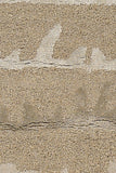 chandra navyan nav 5007 tan rug