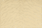 Rugs Done Right Custom Nepal NEP04 Bone Rug