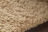 chandra noely noe 43202 tan rug