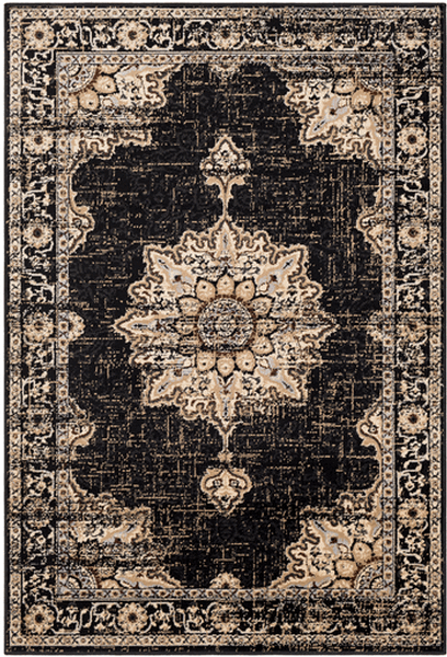 Surya Paramount PAR1089 Brown Rug