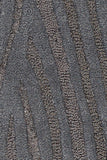 chandra penelope pen 12901 brown rug