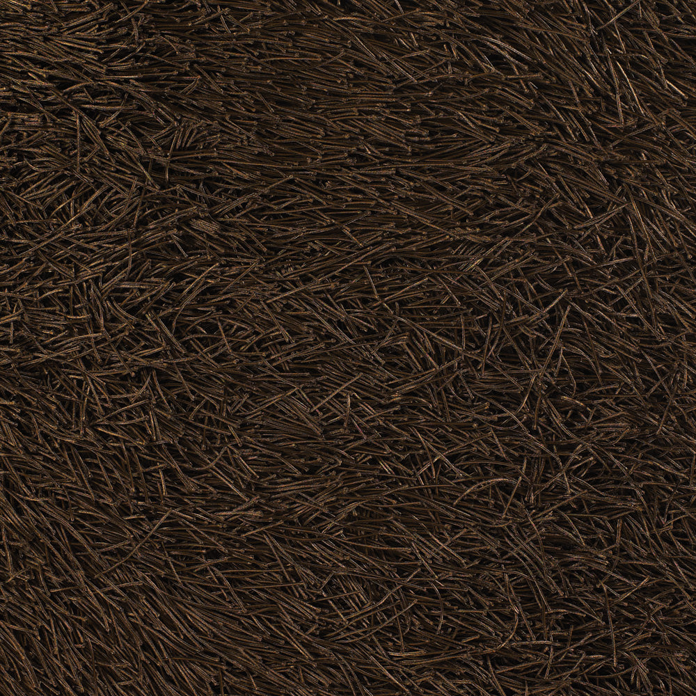 chandra poligan pol 30801 brown rug