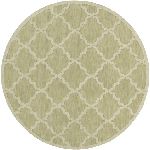 Surya Closeout Central Park AWHP-4016 Sage Rug