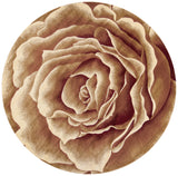 Kas Clearance Corinthian 5338 Ivory Rug