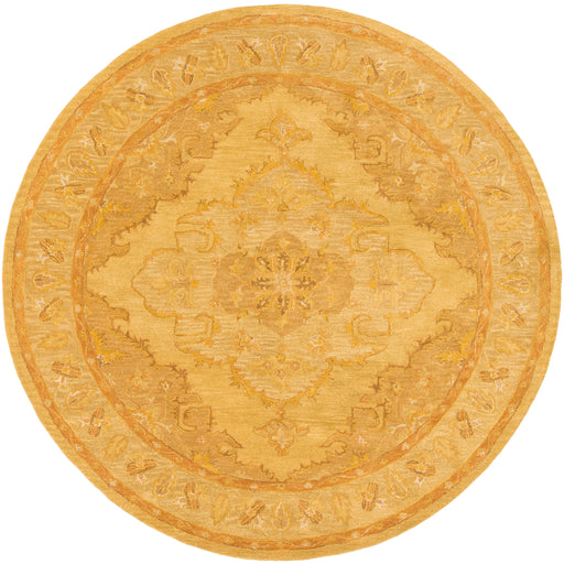 Surya rug co. | gold rug | Middleton | rugs done right