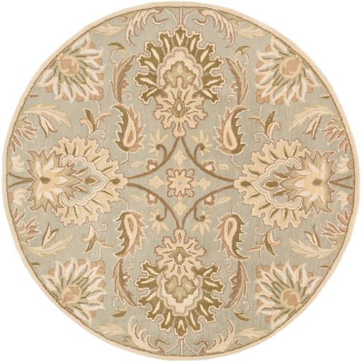 Surya rug co. | Ash Grey rug | Caesar | rugs done right