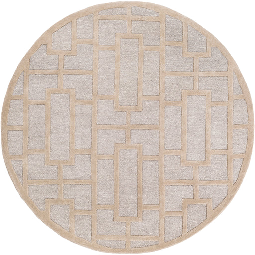 Surya Rug Co. Arise Light Grey Rug | Arise Rugs | Rugs Done Right 