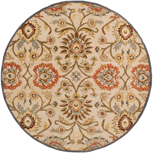 Surya Rug Co. Caesar Beige Rug | Surya Rugs | Rugs Done Right 
