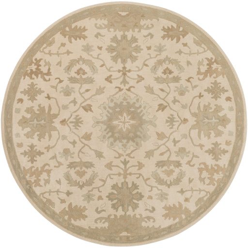 Surya Rug Co. Caesar Beige Rug | Beige Rugs | Rugs Done Right 