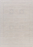 surya rug co contempo cpo 3855 light gray rug