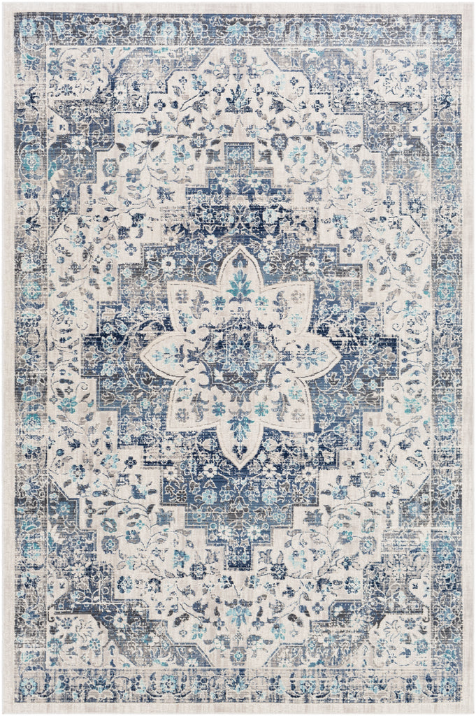 surya dublin dub 2302 aqua rug