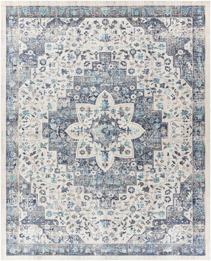 surya dublin dub 2302 aqua rug