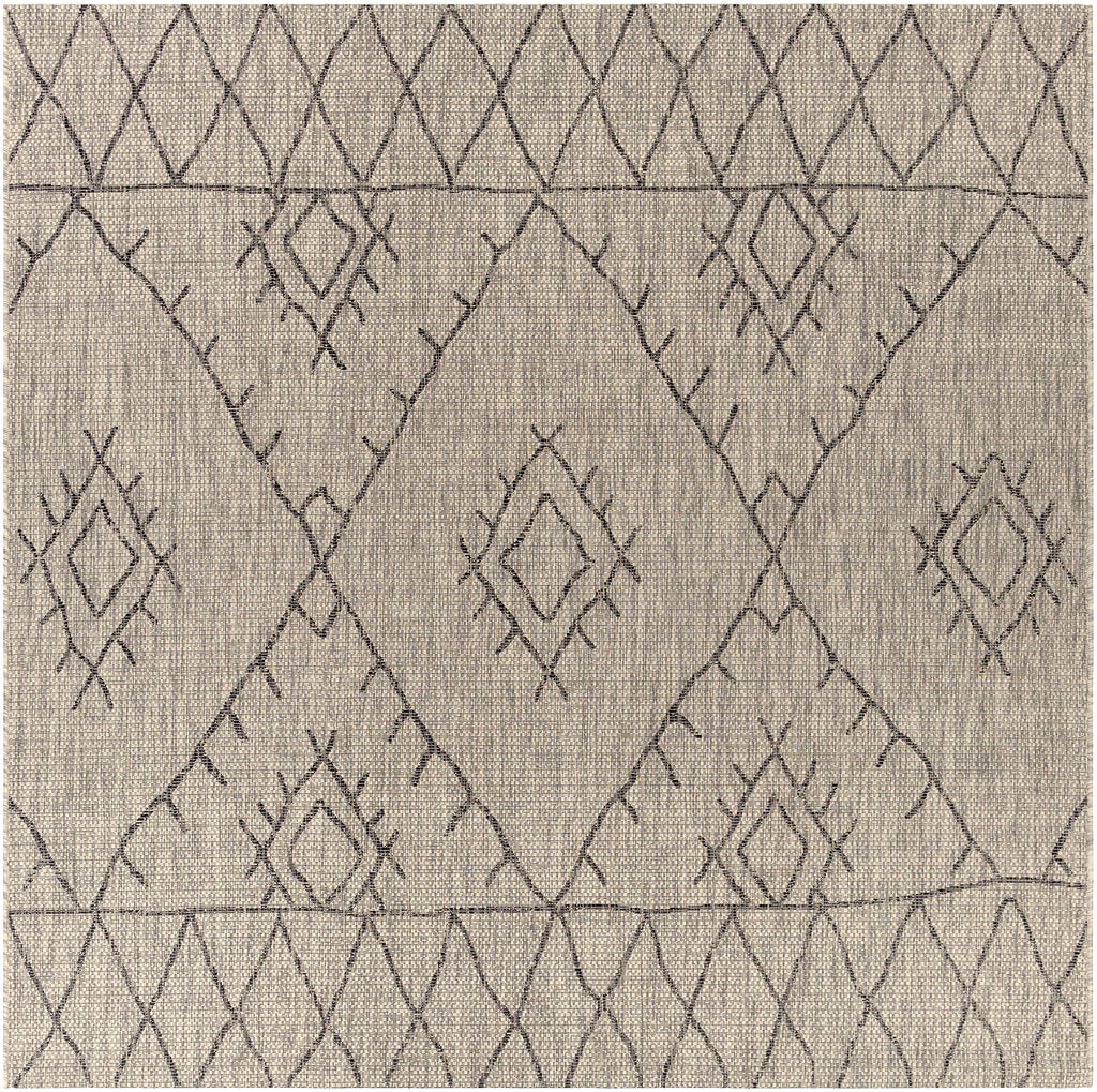 surya eagean eag 2328 black rug
