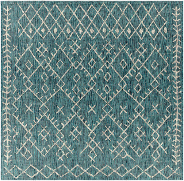 surya eagean eag 2330 aqua rug