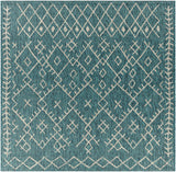 surya eagean eag 2330 aqua rug