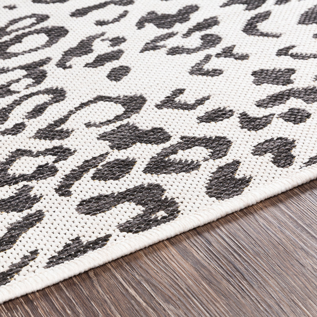 surya rug co eagean eag 2354 black rug