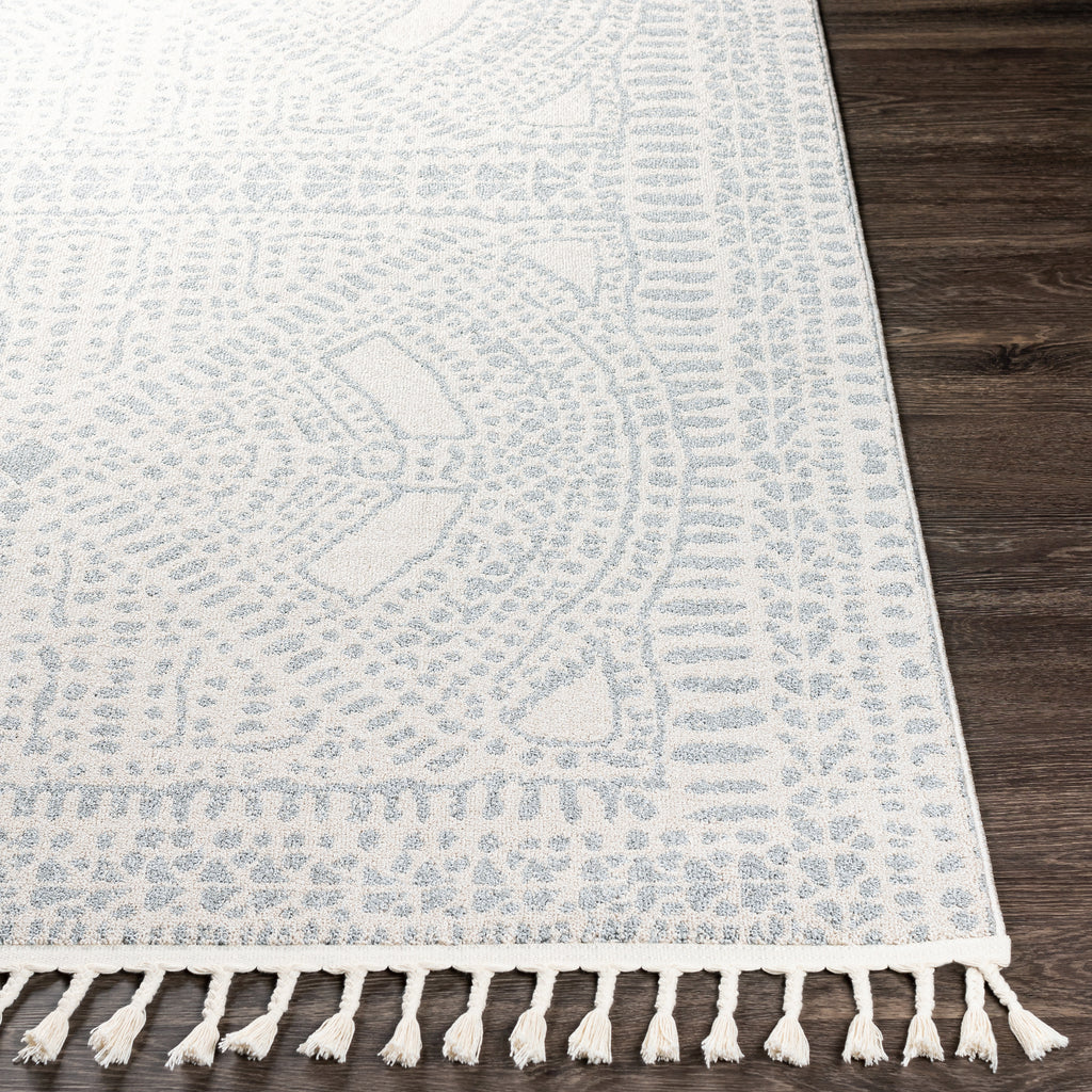 Surya Closeout Euphoria ERP-2307 Gray Rug
