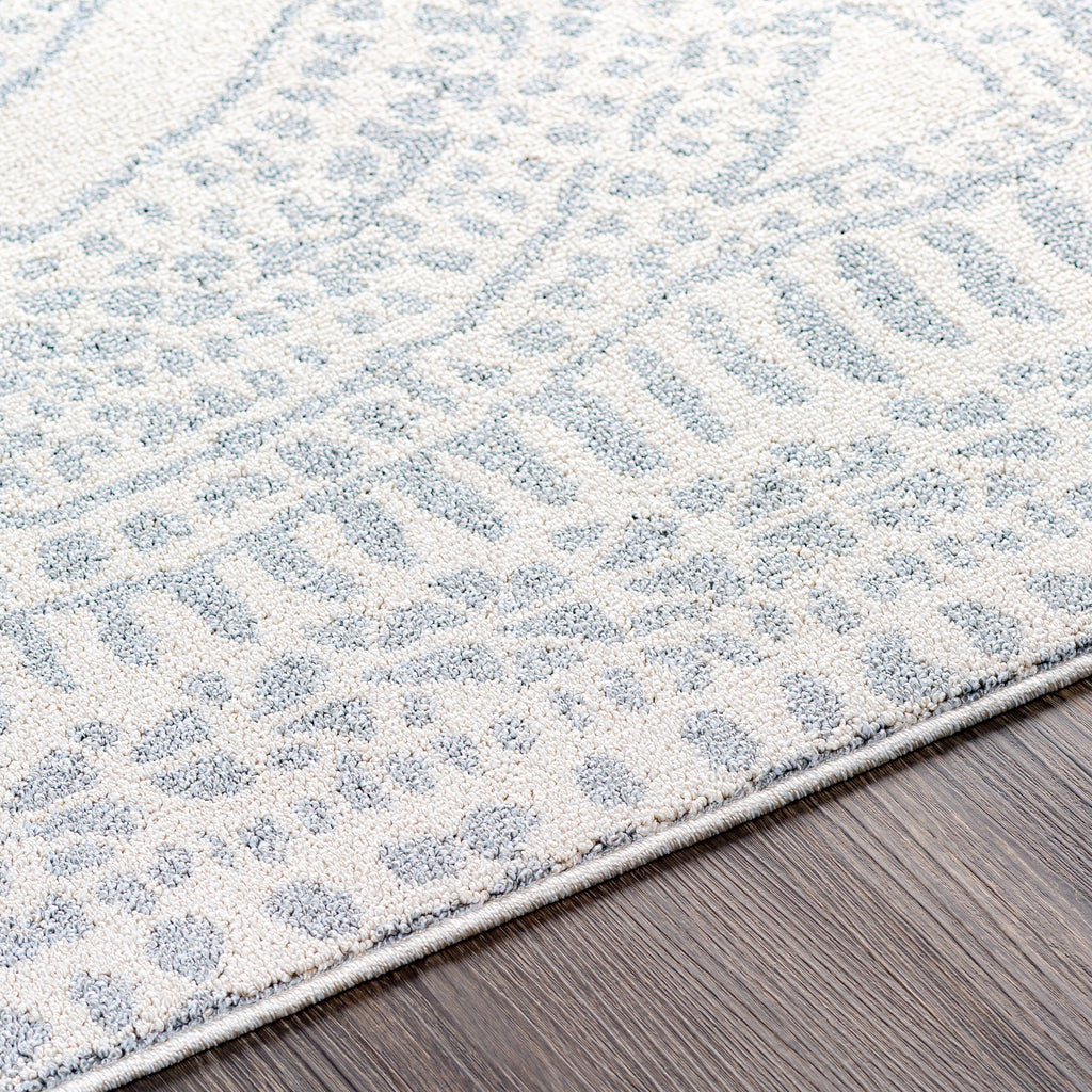 Surya Closeout Euphoria ERP-2307 Gray Rug