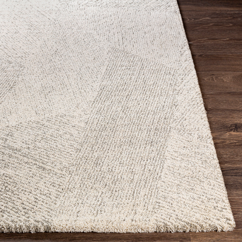 Contemporary Surya Rug Co. Gavic Cream Rug | Cream Rugs | Rugs Done Right 