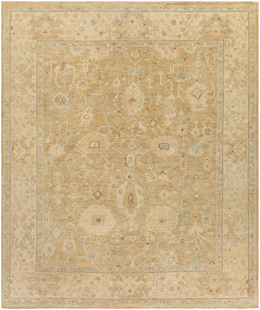 surya rug co normandy noy 8008 beige rug