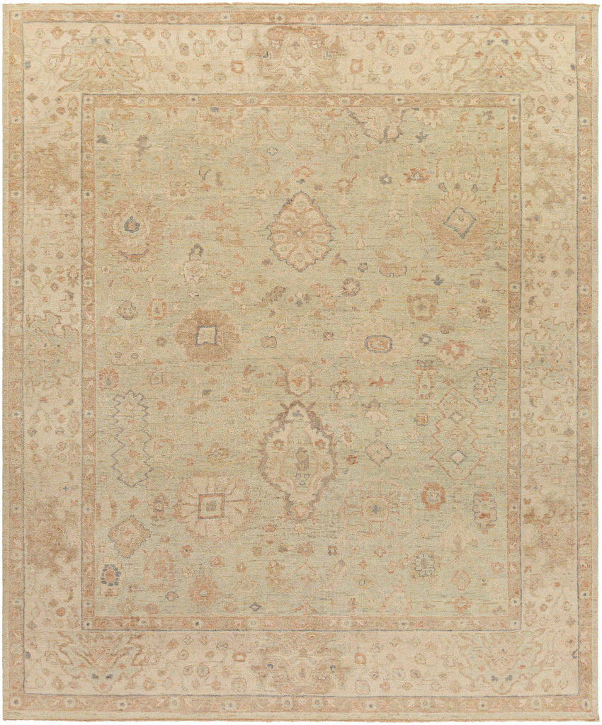 surya rug co normandy noy 8009 khaki rug