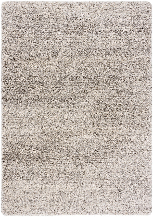 safavieh clearance hudson shag sgh295b ivory rug