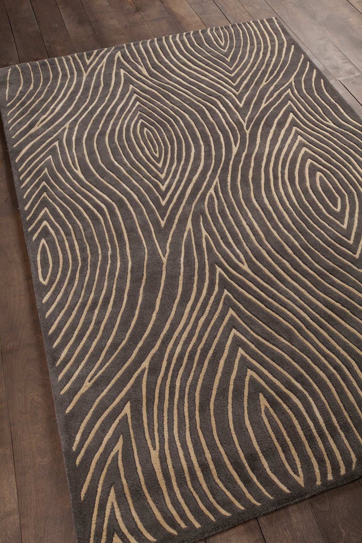chandra solas sol 12201 taupe rug