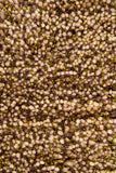 chandra sterling ste 21802 brown rug
