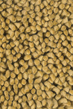 chandra strata str 1109 gold rug